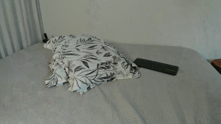 Ashley_Knightt's Streamate show and profile